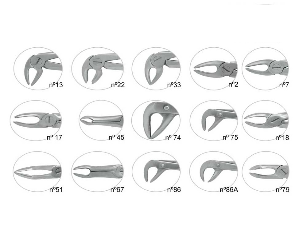 Instrumental exodoncia: Fórceps extracción dental | Laboratorios